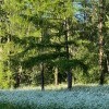 Если гуляешь безо всякой цели, гуляй там, где красиво.