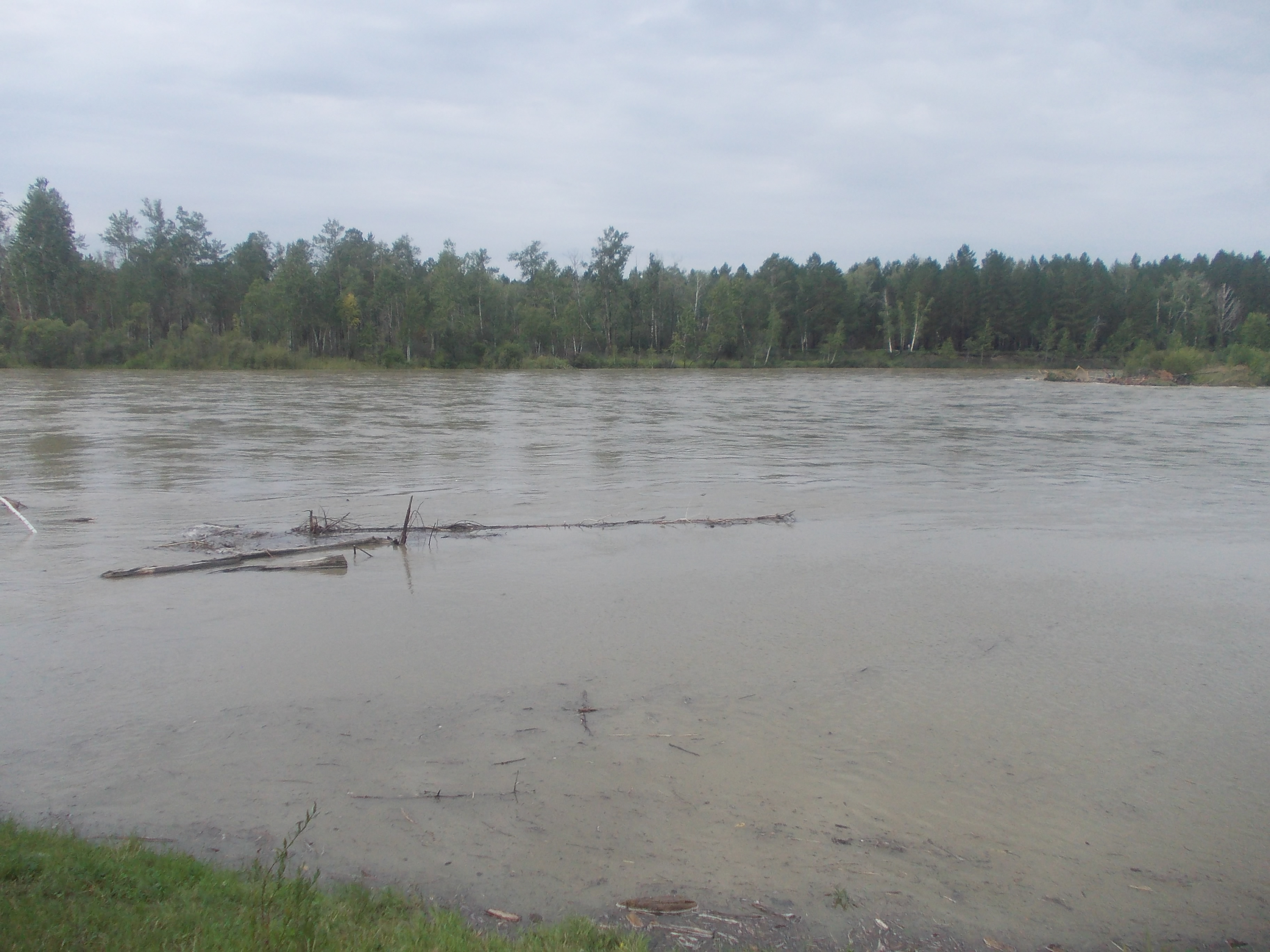 Природа разбушевалась. Чебогоры 17.08.2015