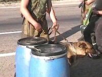 Бочки с наркотиками. Фото АС Байал ТВ.