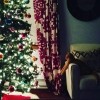 11 11