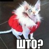 эй