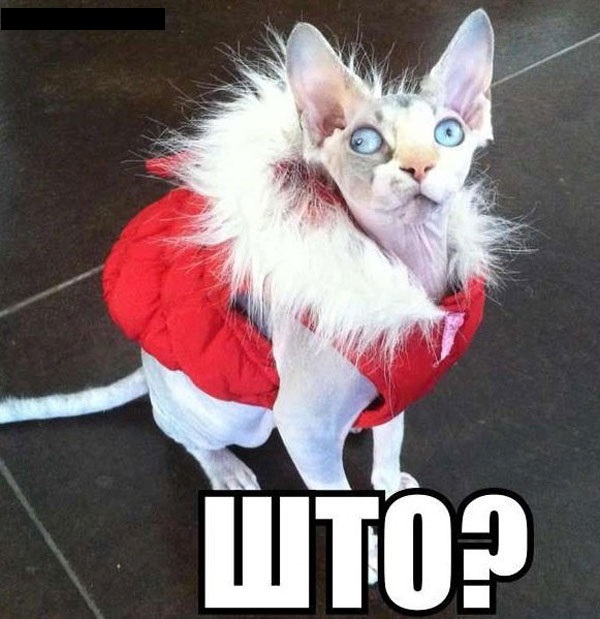 эй
