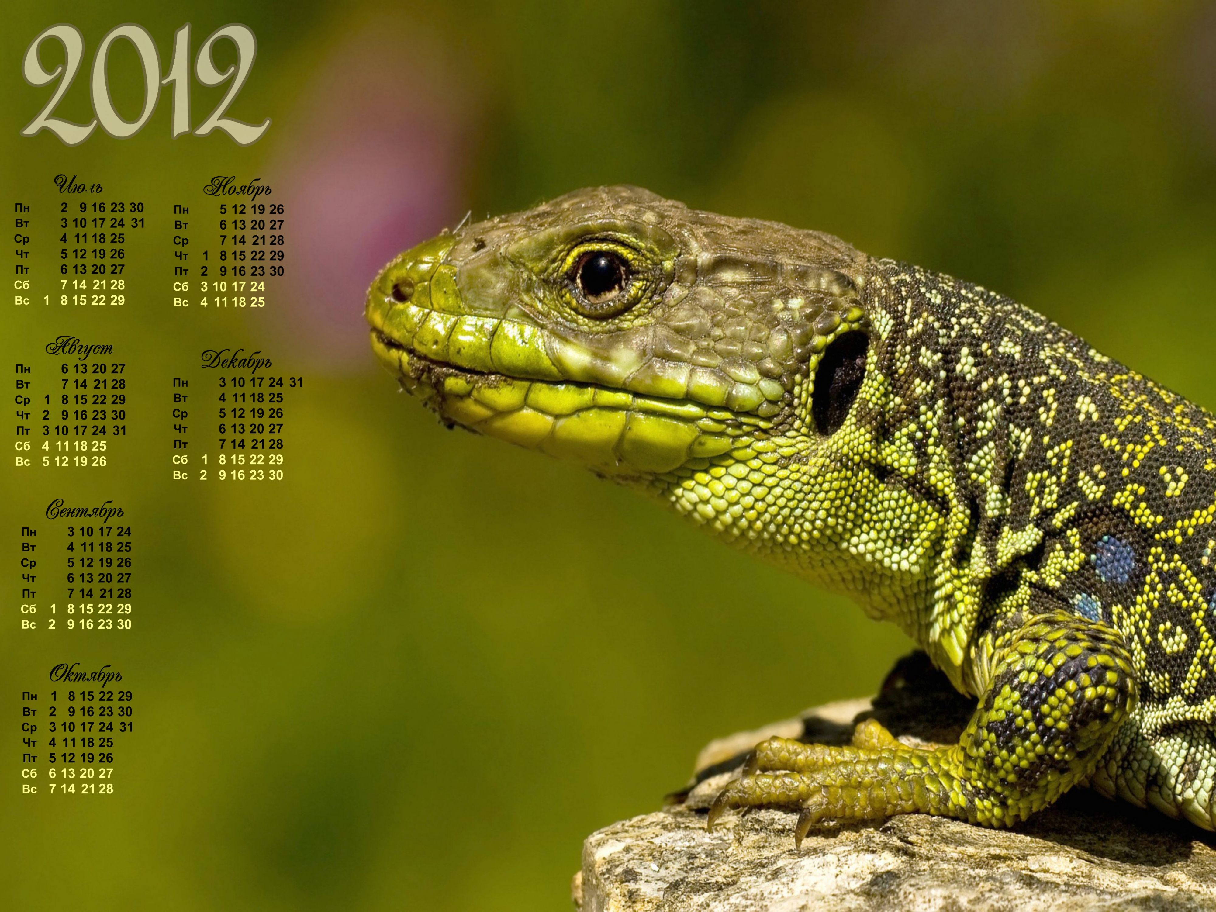 календарь на 2012 год