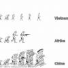 Эволюшен карикатуршен фо Эволюшен карикатуршен фо