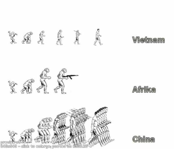 Эволюшен карикатуршен фо