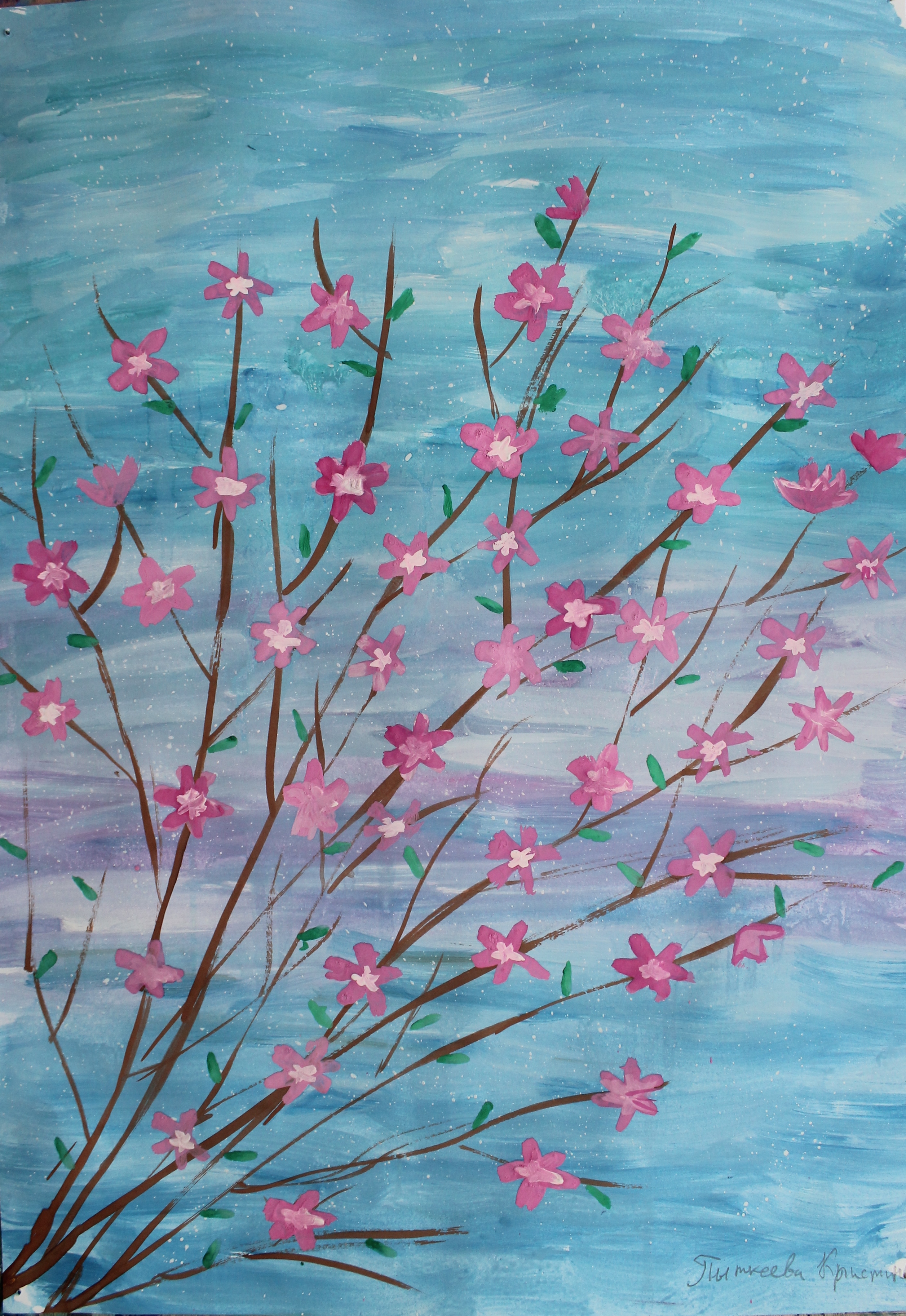 Пыткеева Кристина