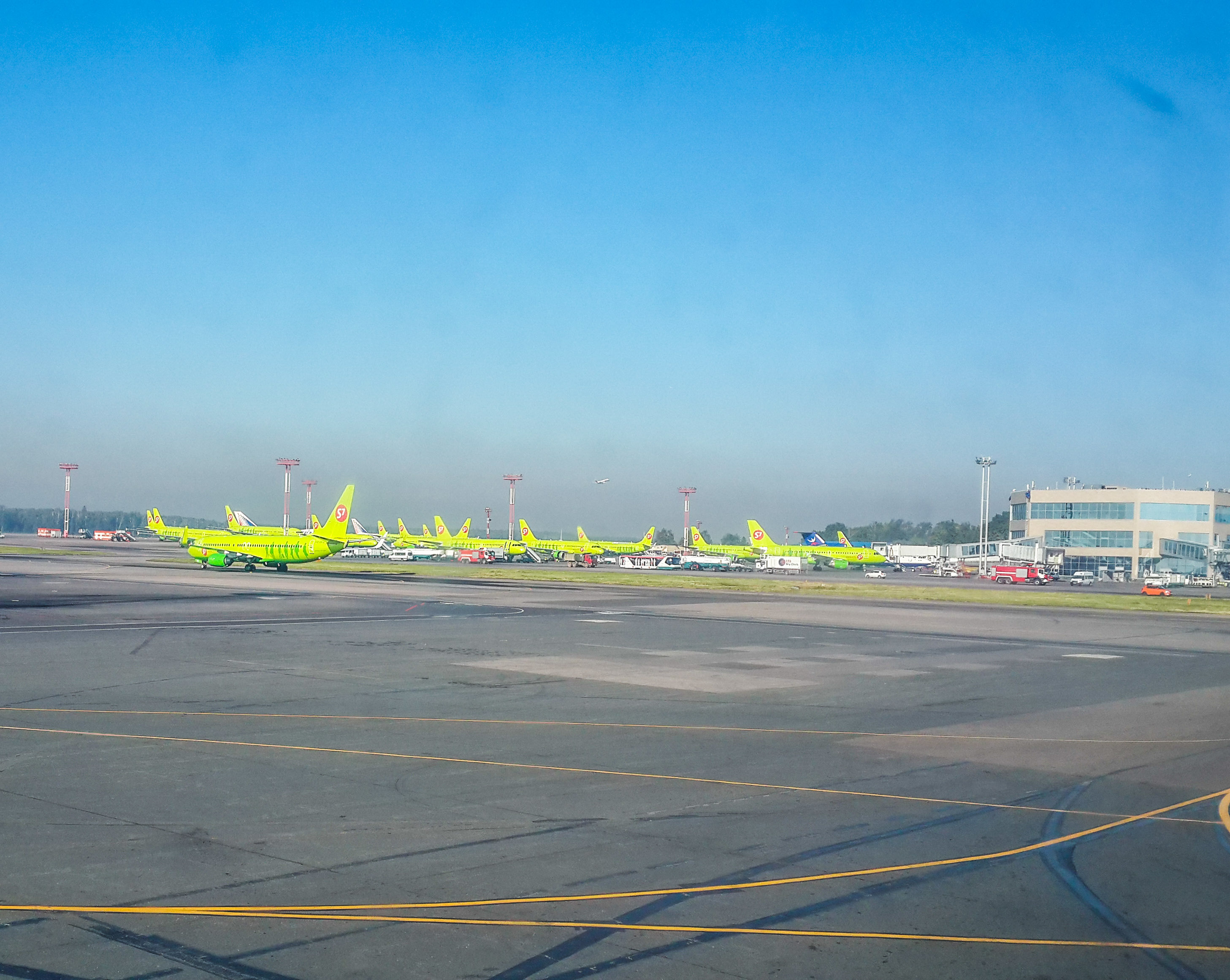 зеленая полянка в Домодедово 