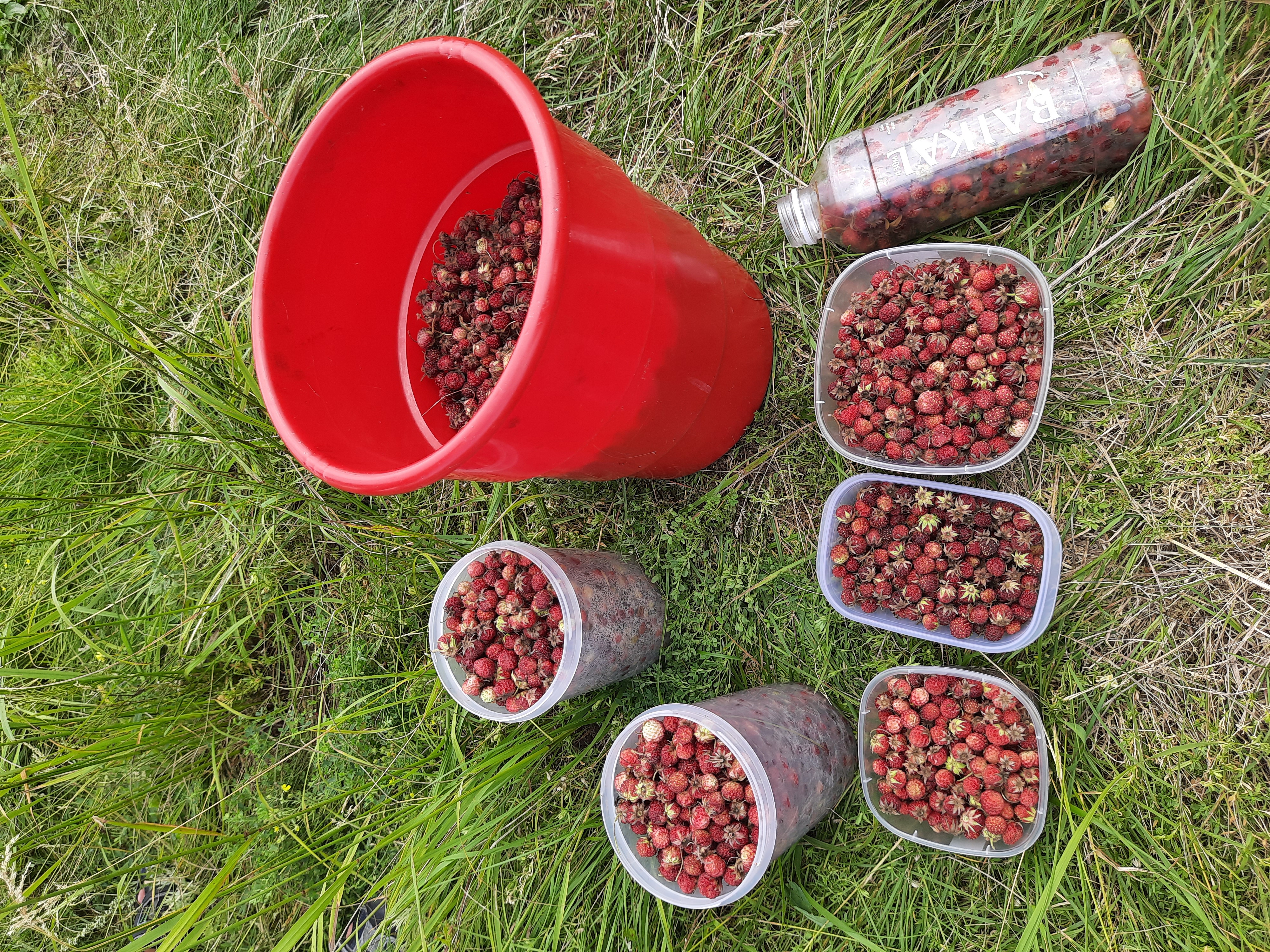 Улов на велопокатушке 