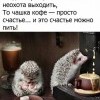 Счастье