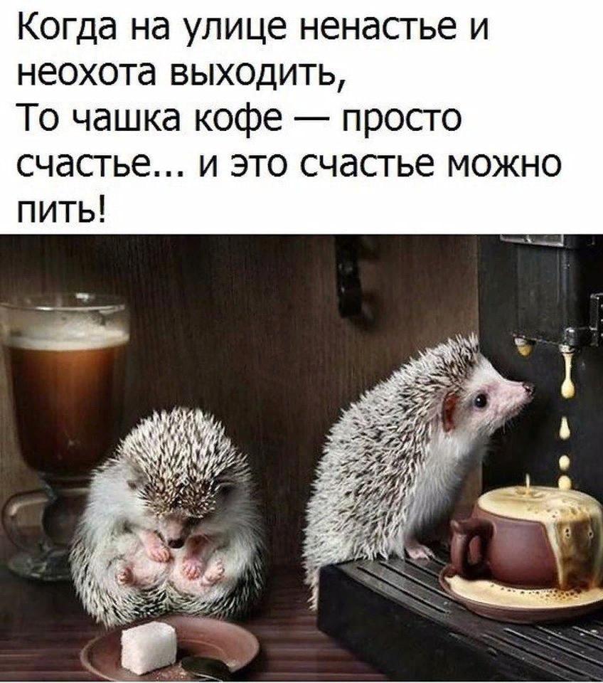 Счастье
