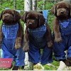 жизнь прекрасна..