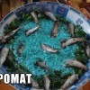 нямка