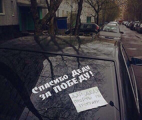 Без названия