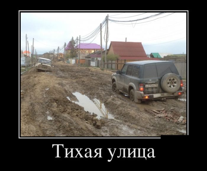 Тихая улица