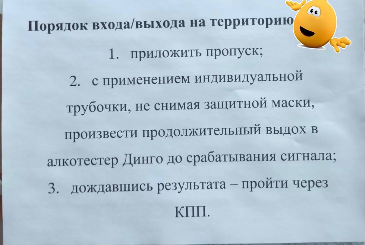 Дело-труба!©️