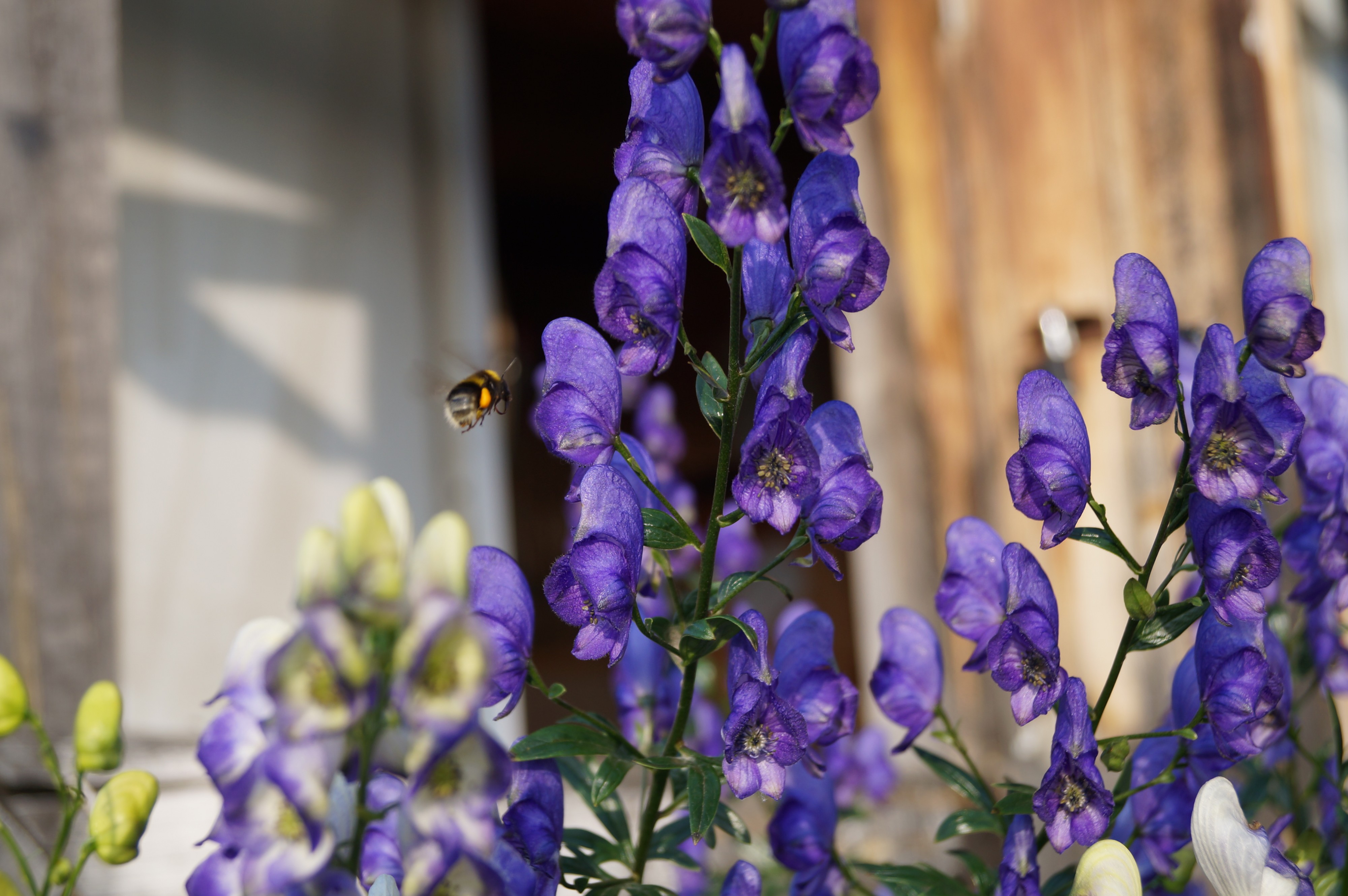 Прошу посадки!