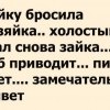 Зайку бросила хозяйка