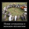Новая сотрудница Новая сотрудница