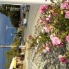 центральная улица городка Эль Калафате