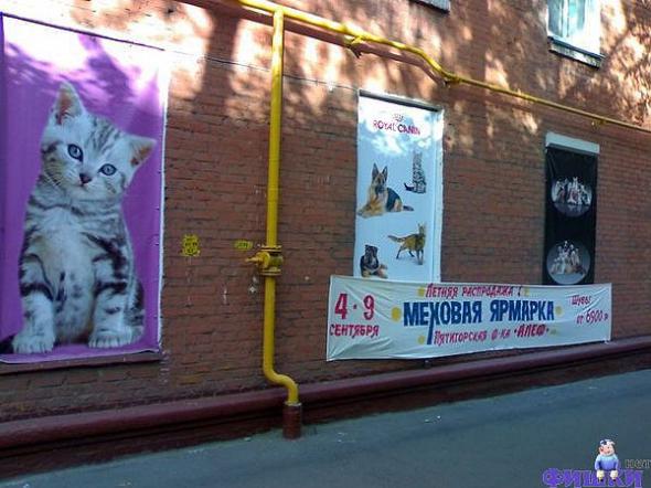 ярмарка меха