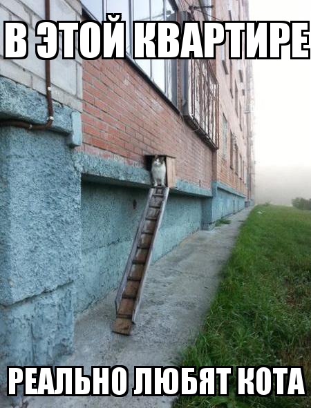 Котэ