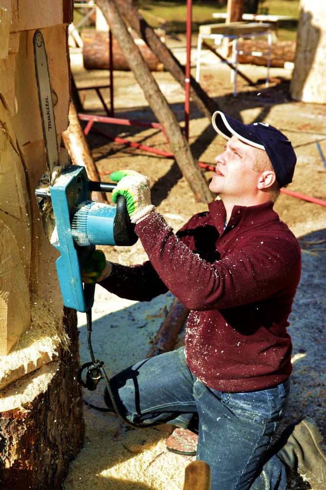 Антон Лытаев (Рязань), Stihl (Германия), сосна ангарская (Прибайкалье)