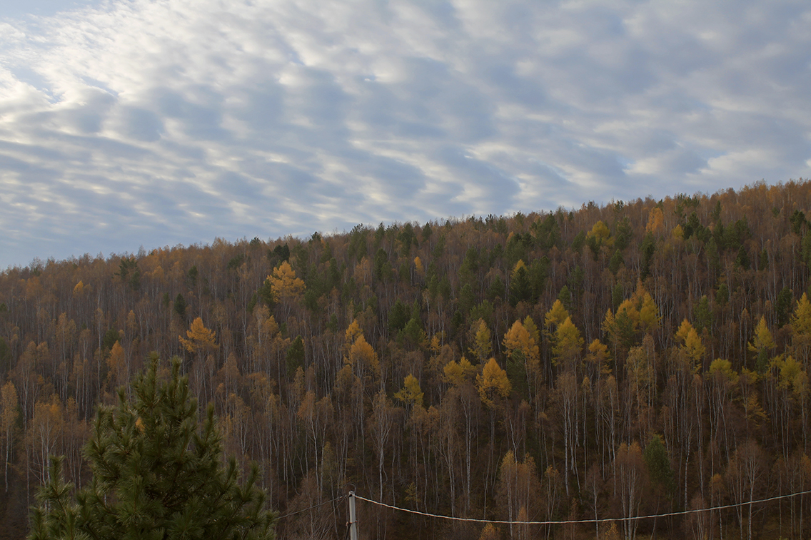 Осенний октябрь