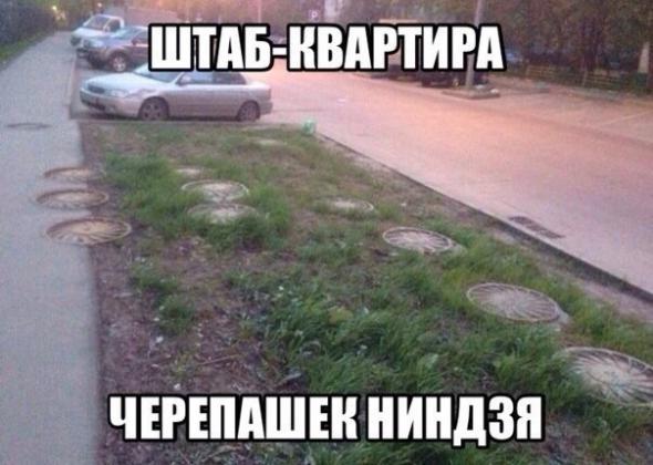 6fe9e55c1bdcf6562fce86c5085 prev