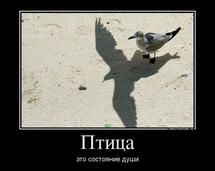 Птица