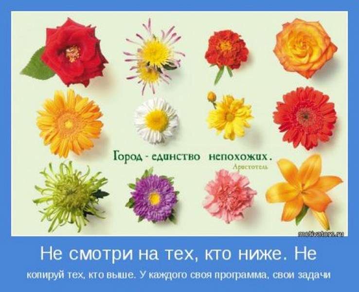 У каждого свои задачи.