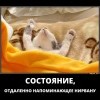 Состояние,напоминающее нирвану Состояние,напоминающее нирвану