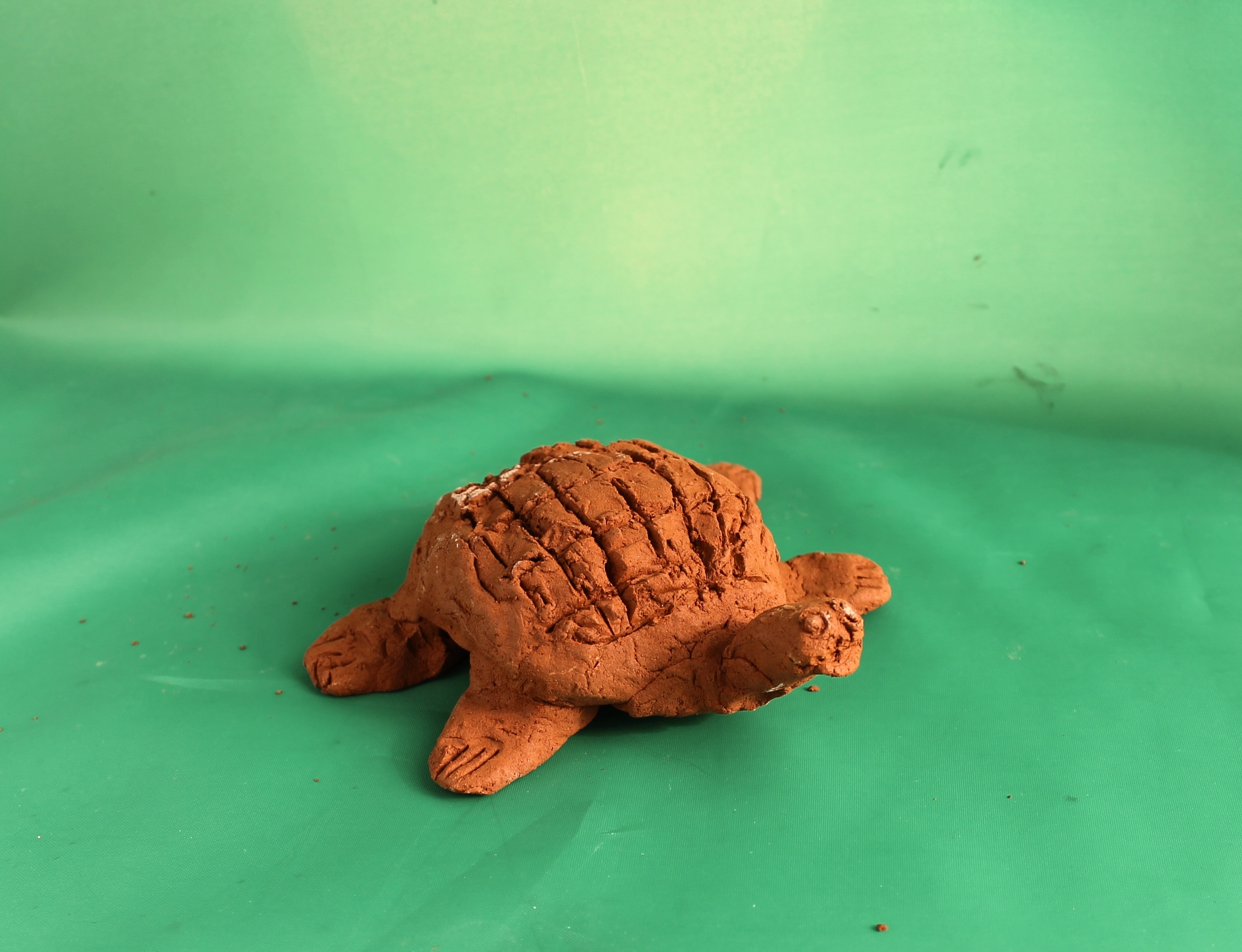 Самсонова Диана