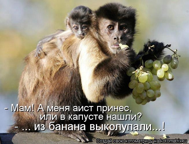 ))))