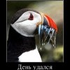 День удался День удался