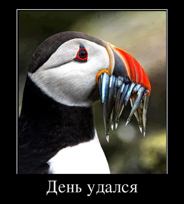 День удался