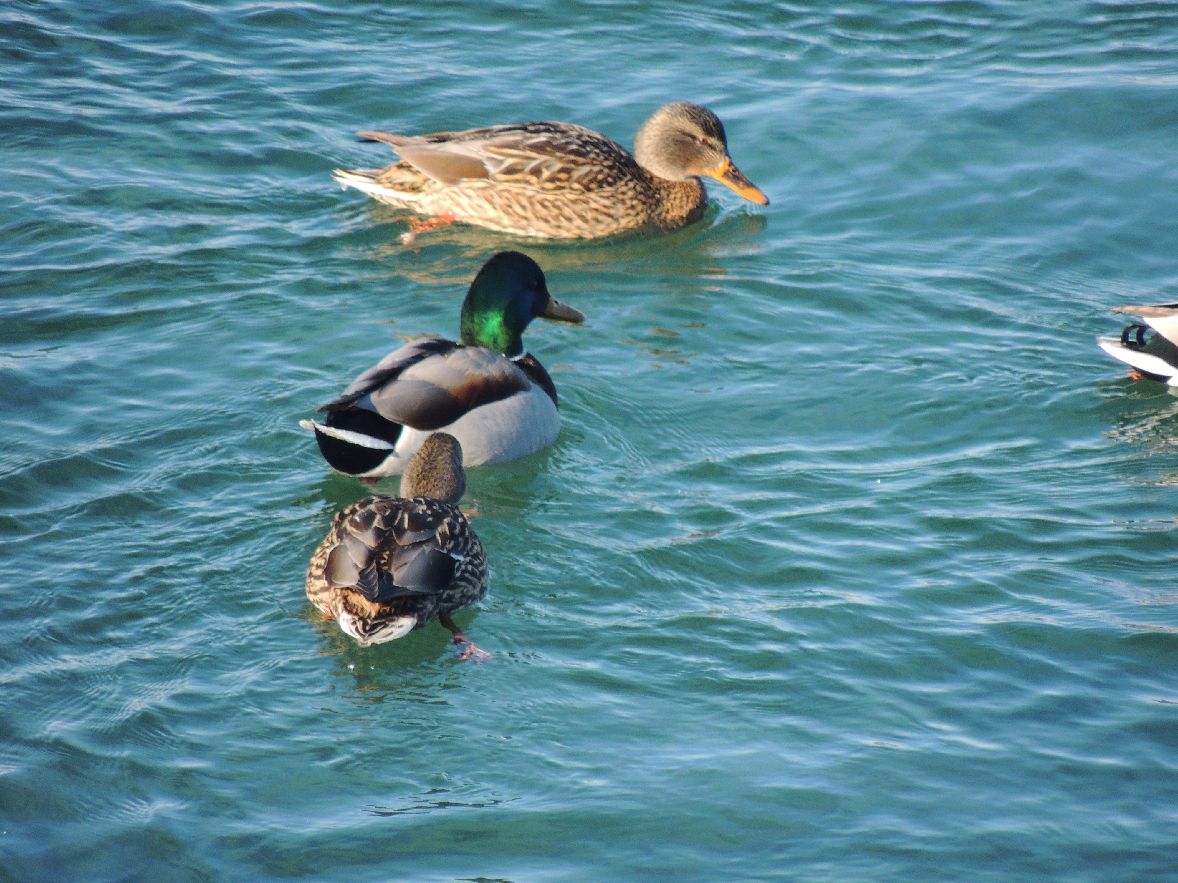 На Нижней Набережной