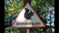 Ужасы их городка: Где-то в Питерском парке