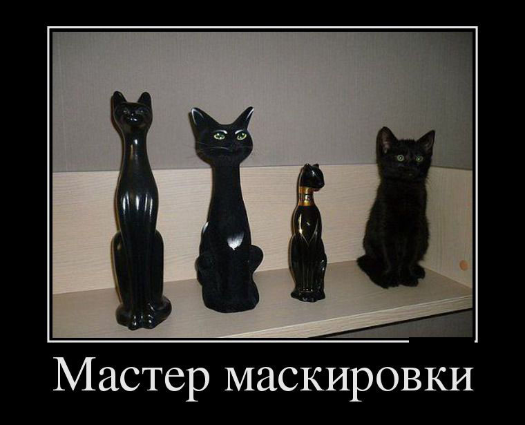 Мастер маскировки
