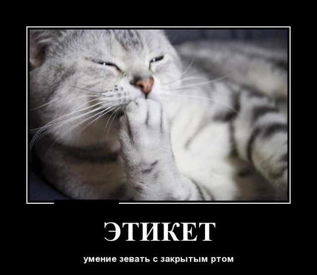 Этикет