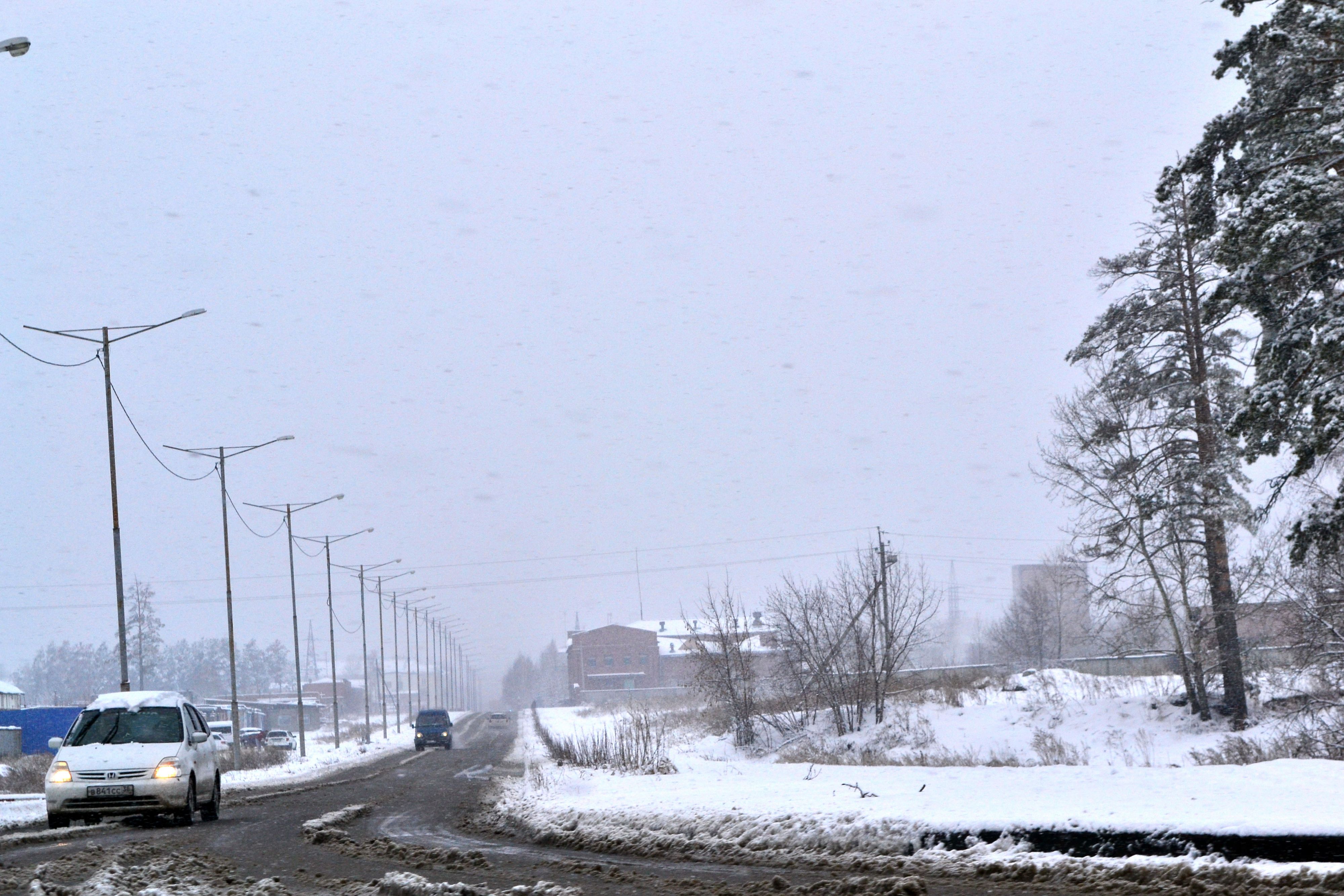 DSC 0061