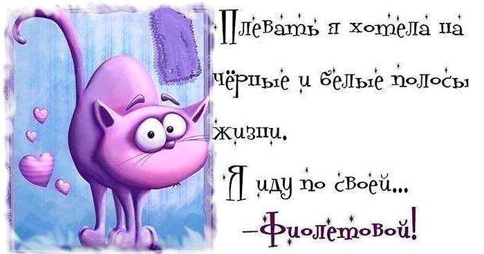 Фиолетовость