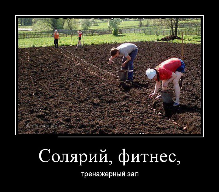 Тренажерный зал
