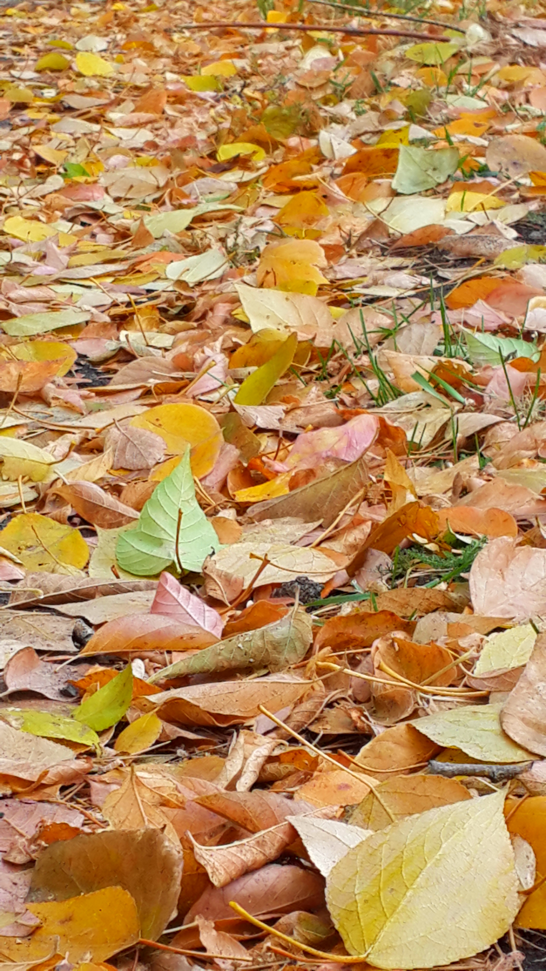 Верим, надеемся и любим