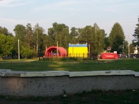 забор и пихта-невидимка))))