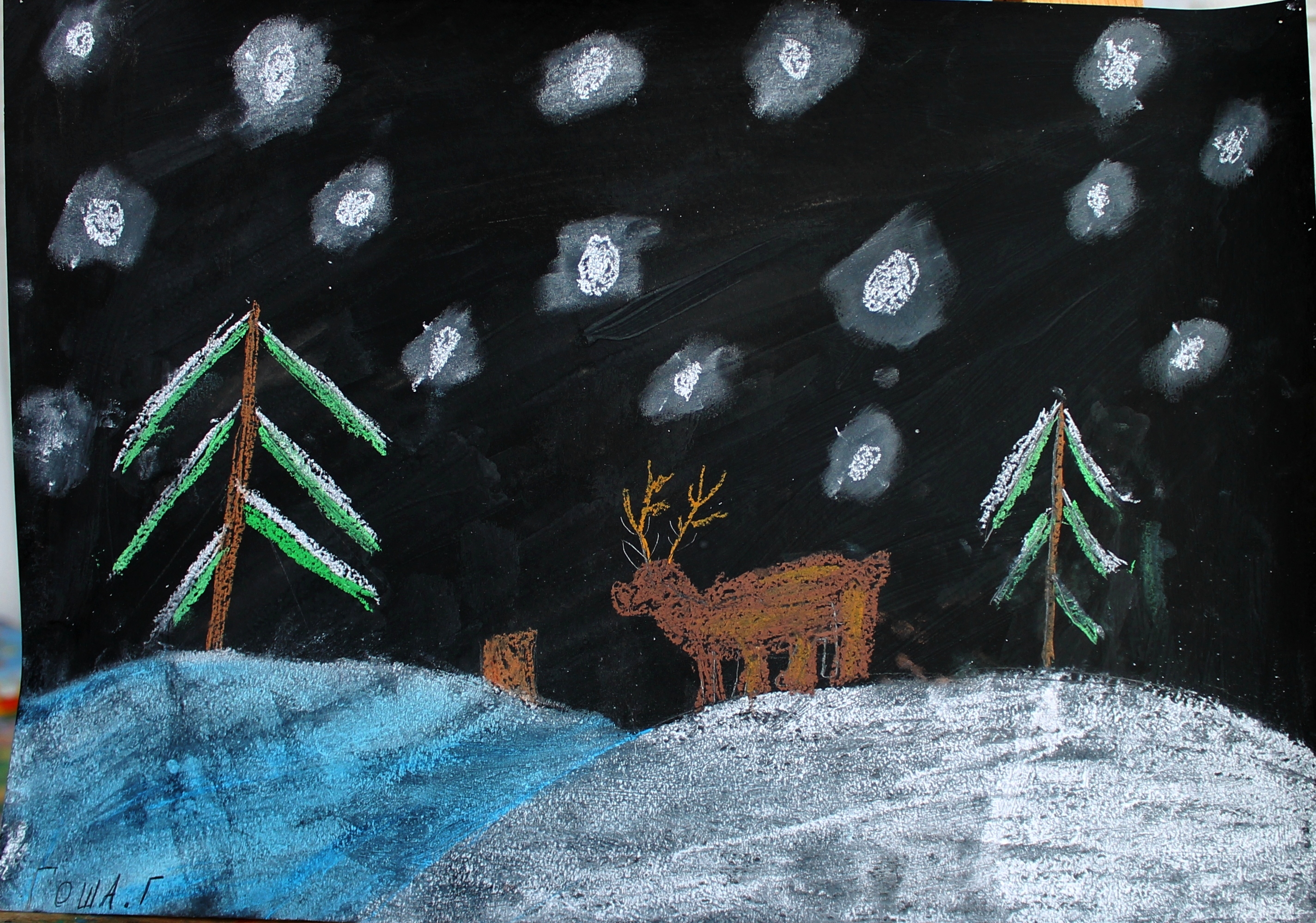 Горенский Гоша