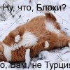 месть месть