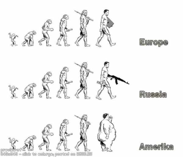 Эволюшен карикатуршен файф