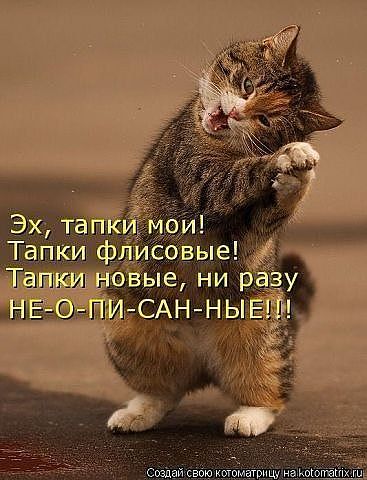 Котэ4