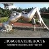 Любознательность