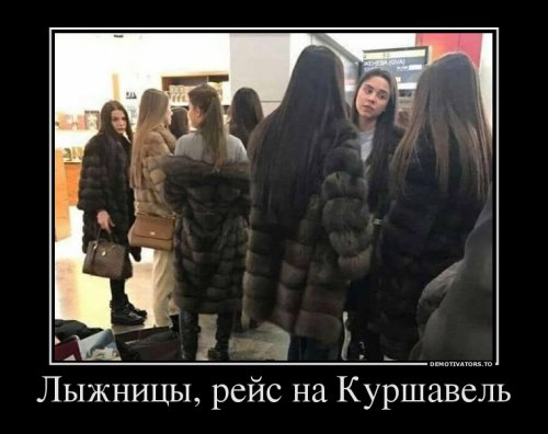 На Куршавель